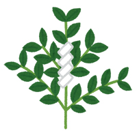玉串イラスト