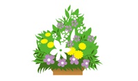 籠花