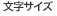 文字サイズ