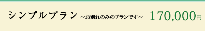 シンプルプラン 170,000円